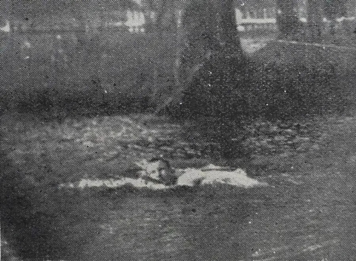 Шухевич на Запорожських” ігрищах, 1923 рік