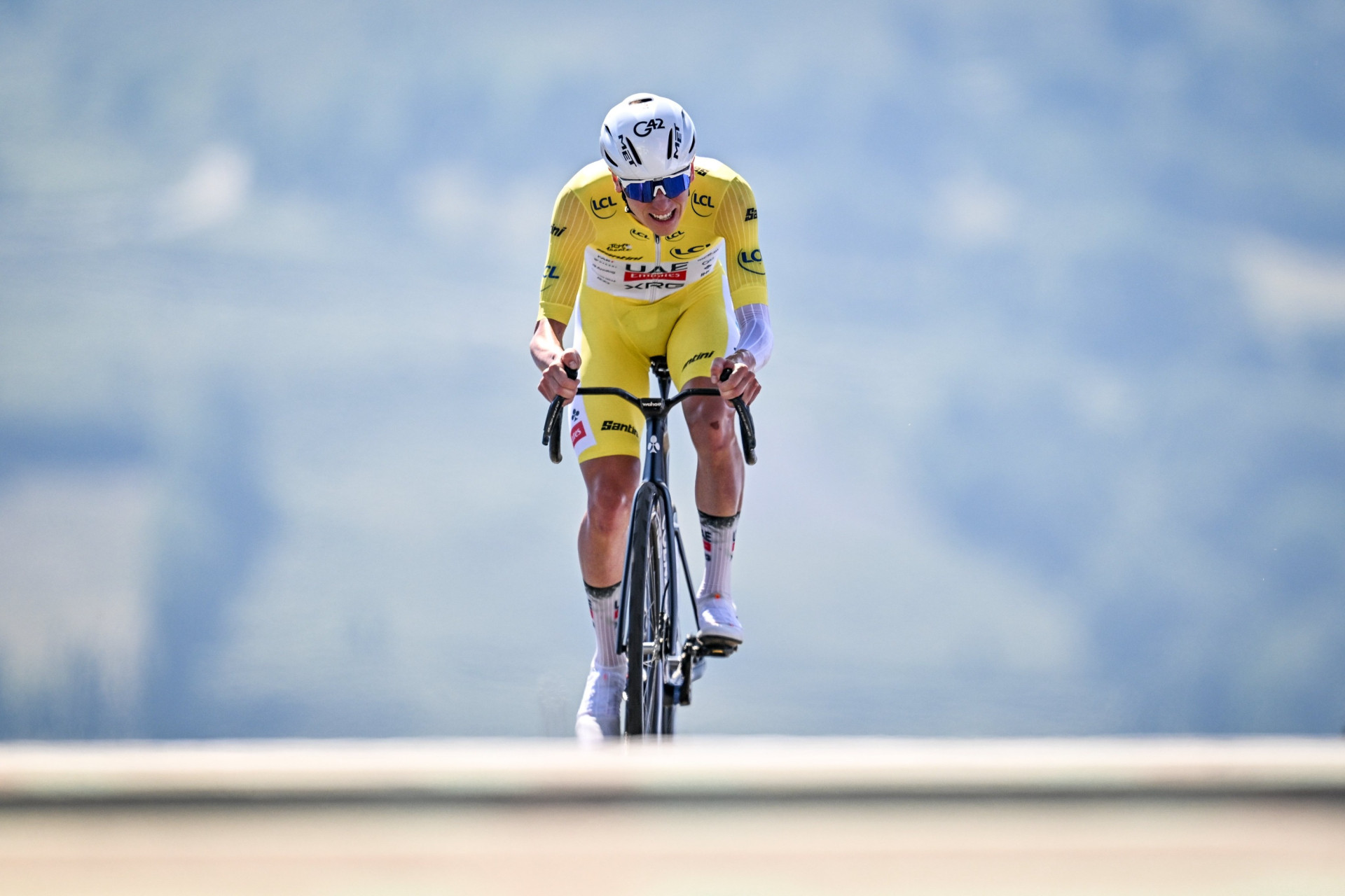 Тадей Погачар