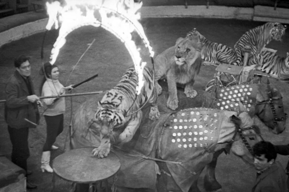 Маргарита Назарова з Костянтином Константиновським