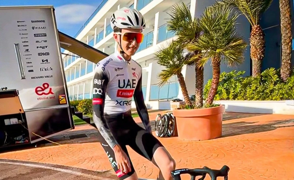 Ніно Сейксас