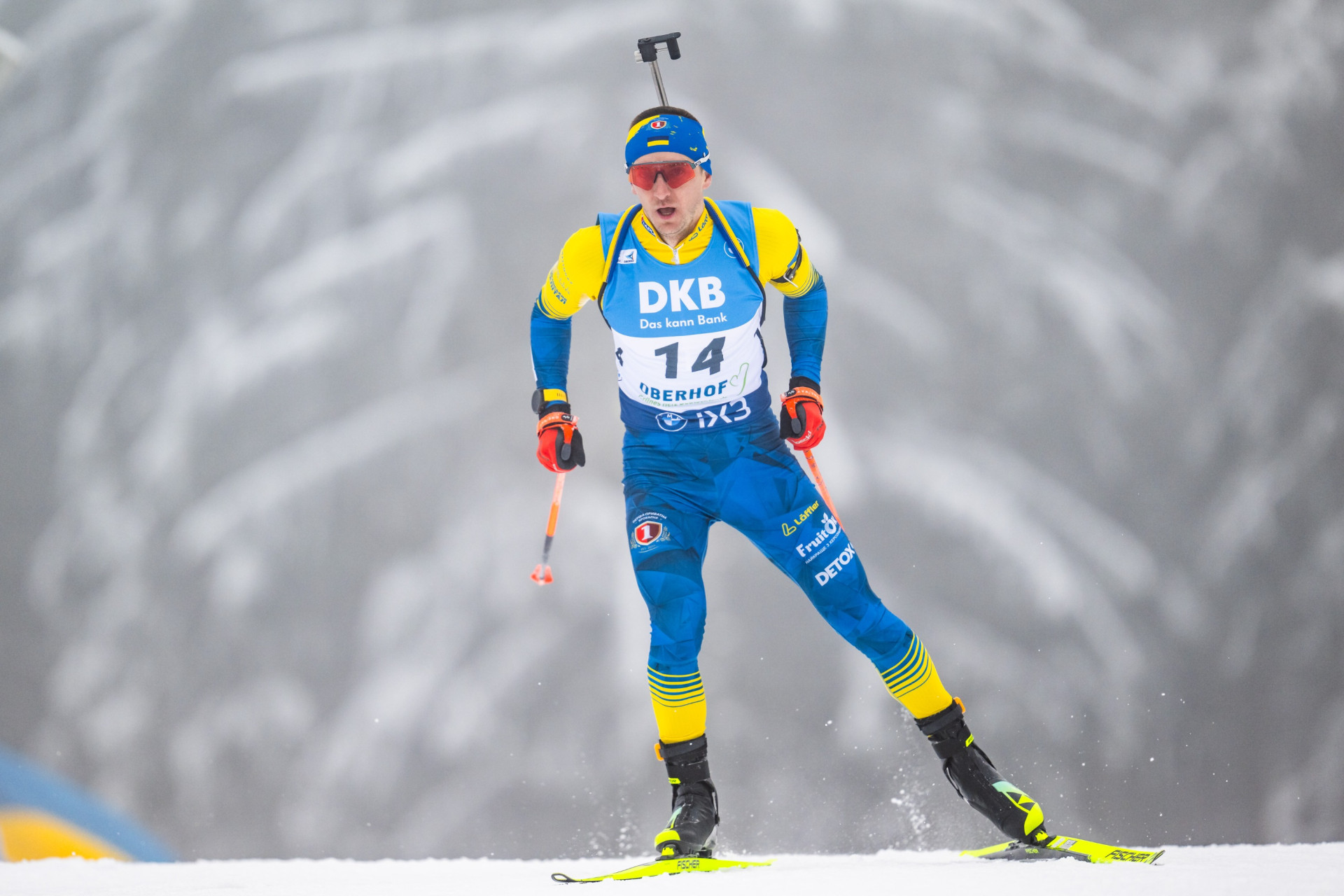 Дмитро Підручний