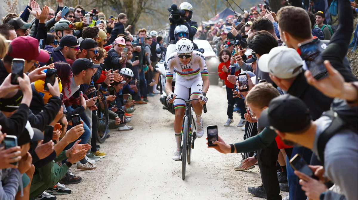 Тадей Погачар