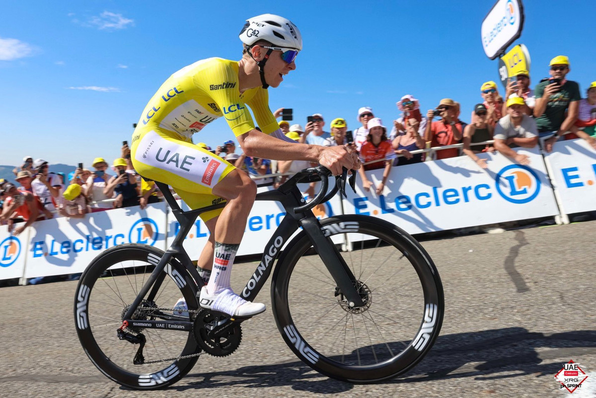 Тадей Погачар