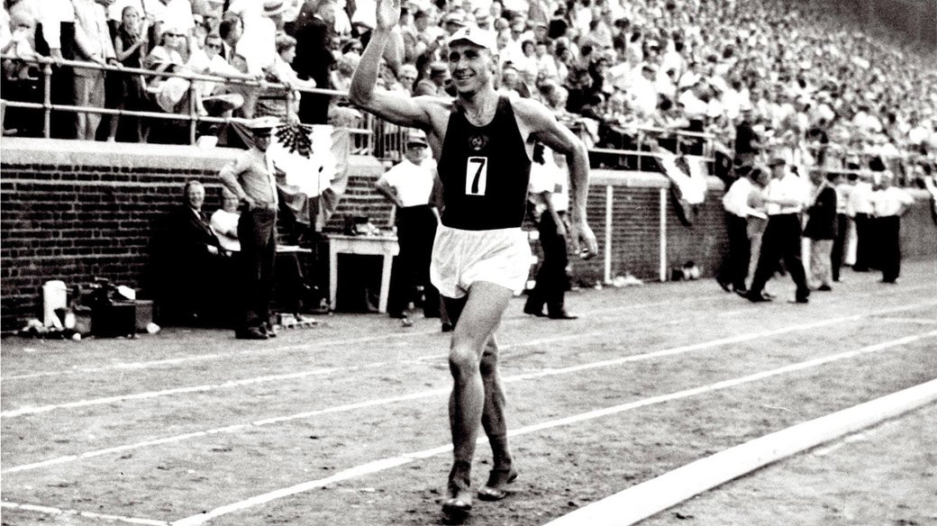 Владимир Голубничий