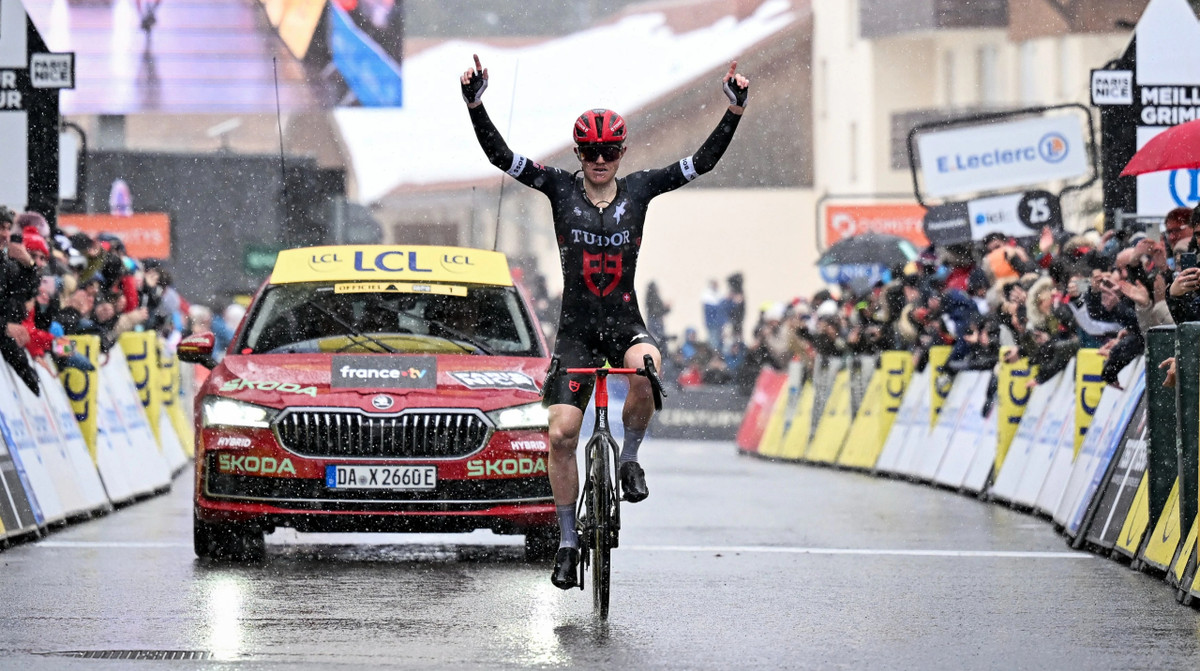 Майкл Сторер